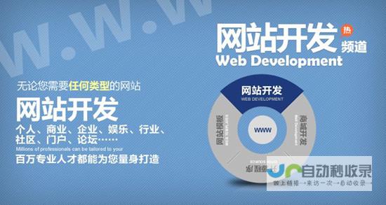 网站建设所需人才：从技术专家到设计美工，全方位人才需求分析